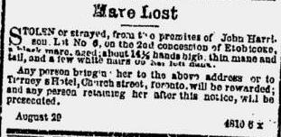 Lost Mare September 4 1865 The Globe